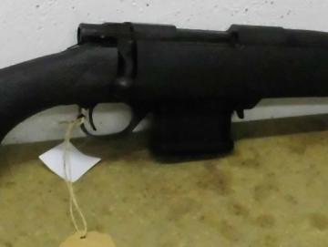 HOWA 1500 Mini 223rem