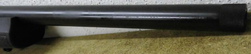 HOWA 1500 Mini 223rem