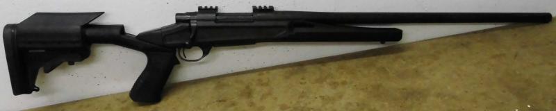 HOWA 1500 AXIOM 308win